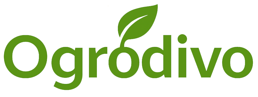 Ogrodivo | Twój Ogród w Nowym Stylu